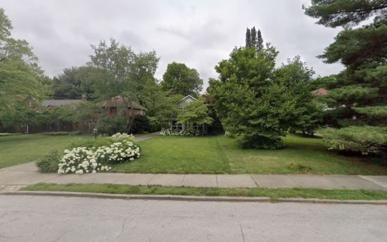 237446 greenbrush painters 1 768x480