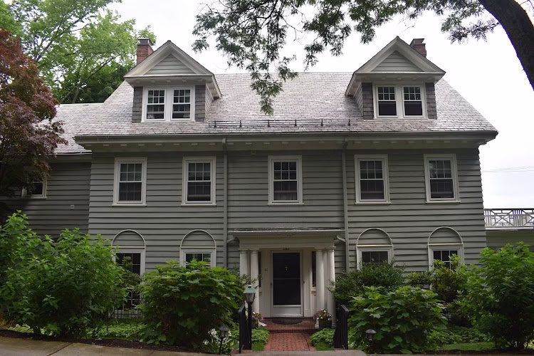 237850 shannon painting