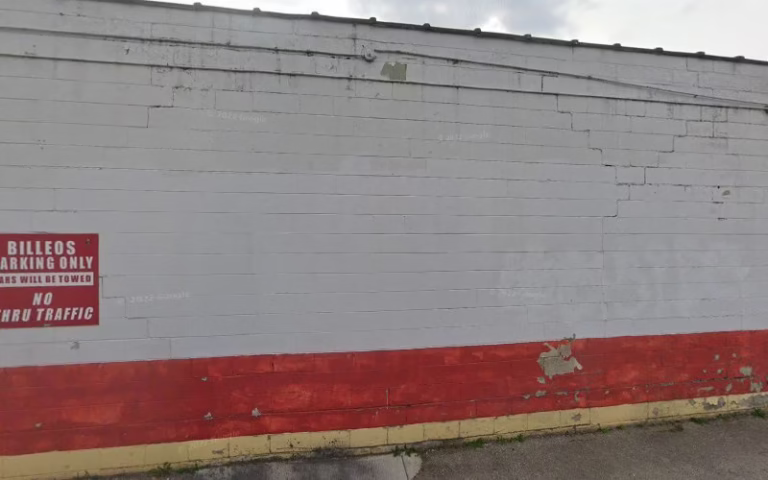 238097 bright nest painting 1 768x480