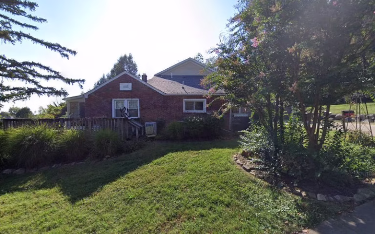 238281 novus painting 768x480