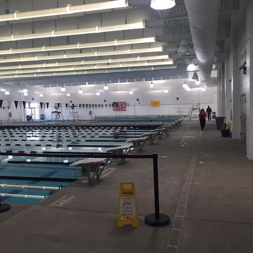 238641 daves painting