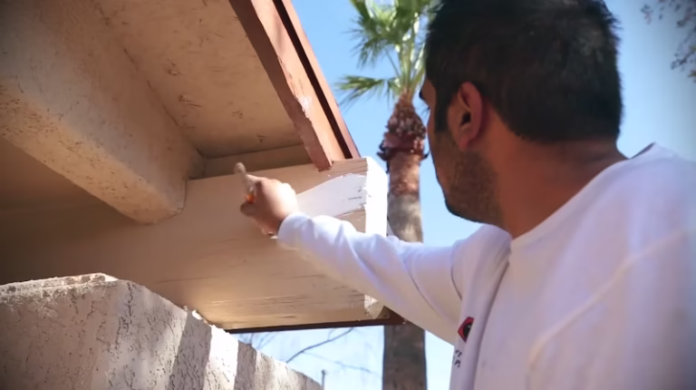 238661 wildcat painting 768x430