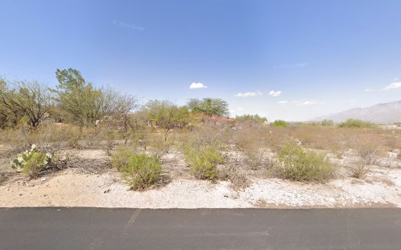 238761 mark salcido painting 1