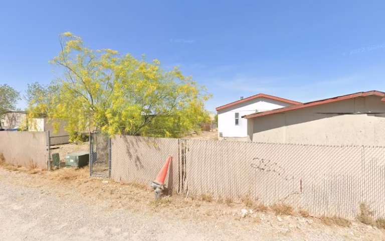 238780 joels painting 1 768x480