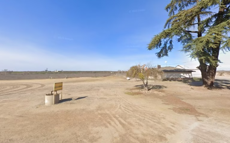 238895 jim carey painting 768x480