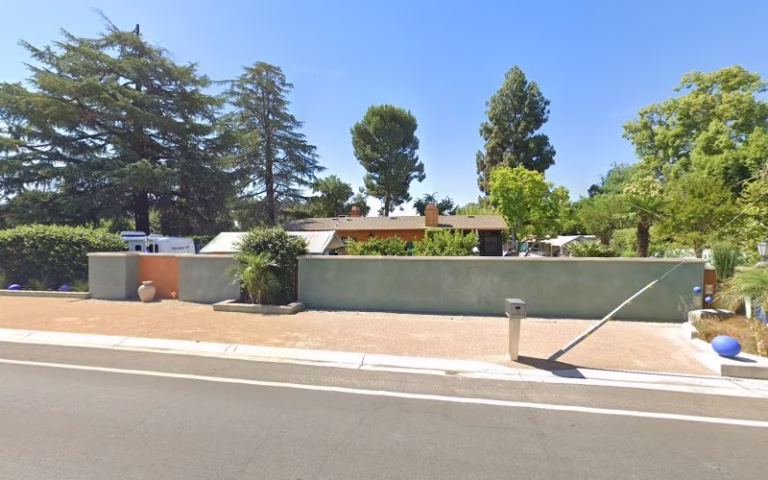 238924 fine arts by tomas 1 768x480