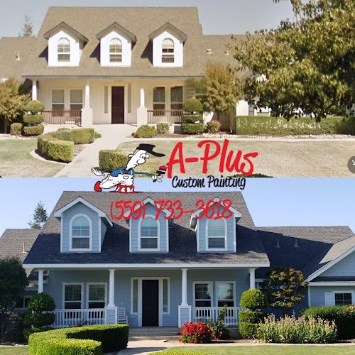 238927 a plus custom painting inc