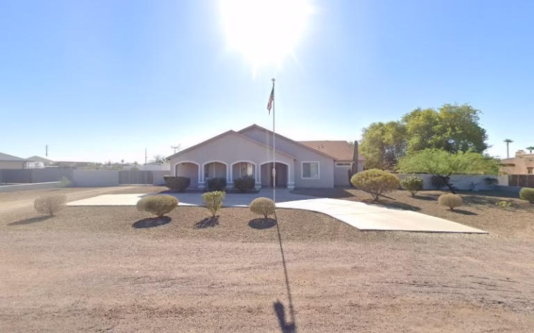 239012 willis painting 1 768x480