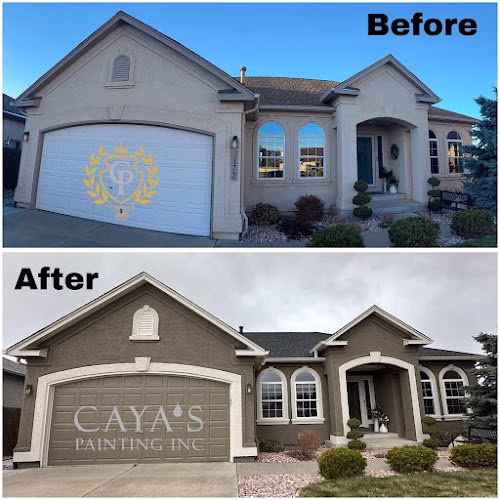 239236 cayas painting inc