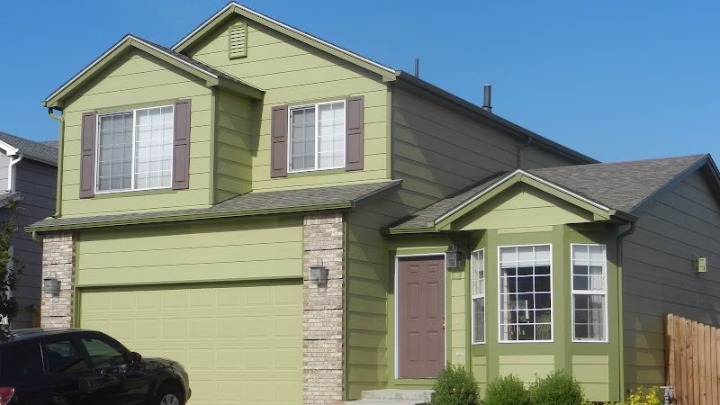 239250 the paint doctor