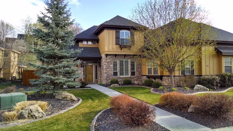 239556 signature painting 1 768x432