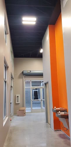 239612 virginia paint design