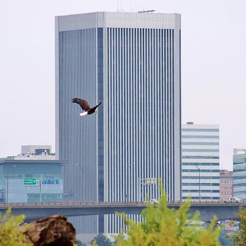 240164 renovate america llc