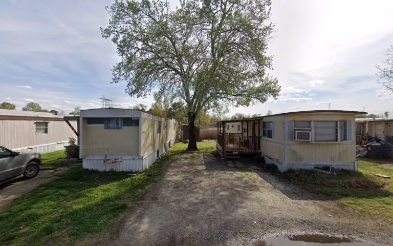 241529 eagle eyes painting 768x480