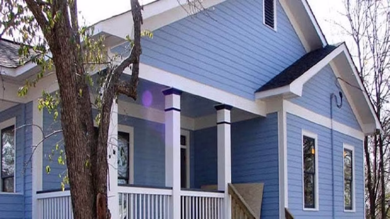 241995 harmony painting 768x432