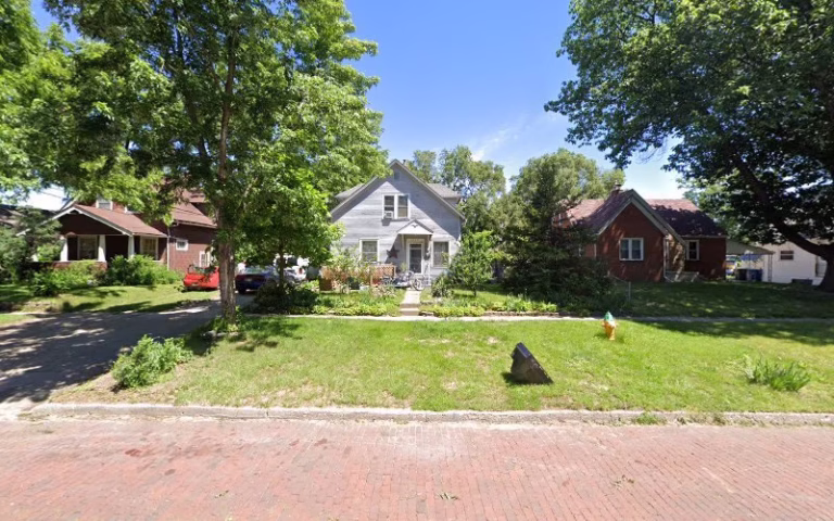 242053 king painting 768x480