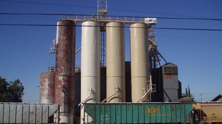 242198 gold star painting 768x432