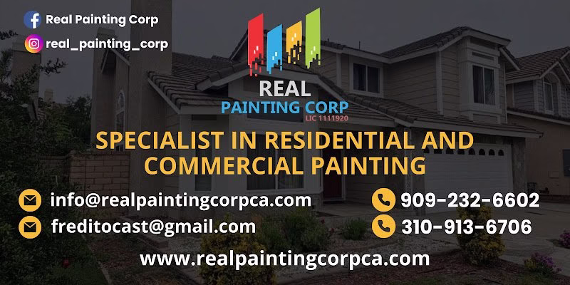 242234 real painting corp