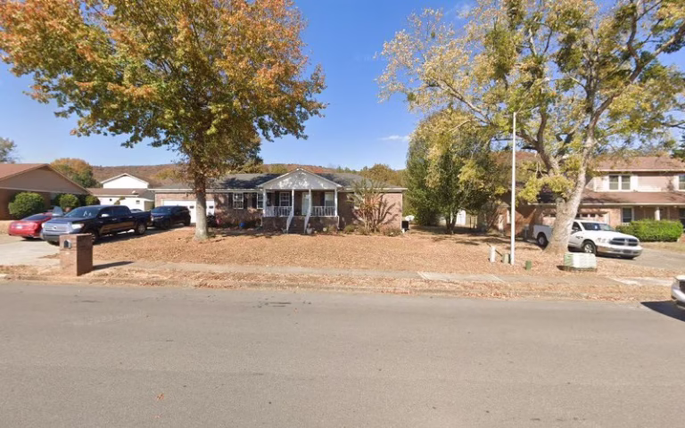 243048 bruce pro painting 768x480