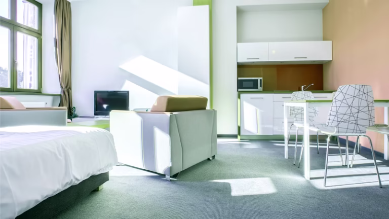 243216 painterpro 768x432