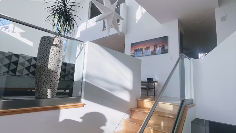 243486 jc painting pro 768x432