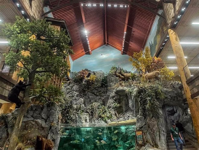 243664 southeast painters inc