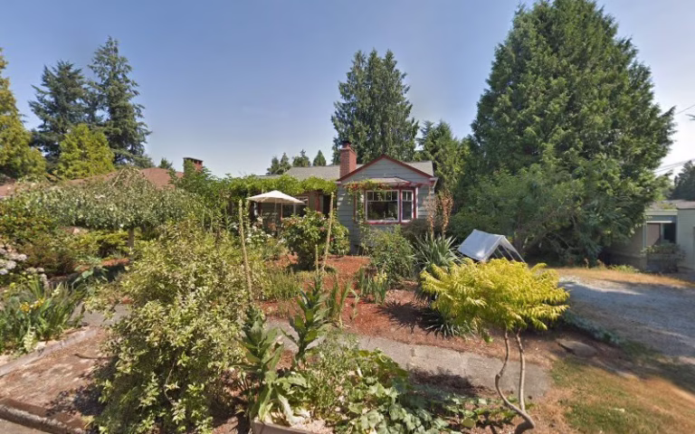 244541 steven cheyne cook 1 768x480