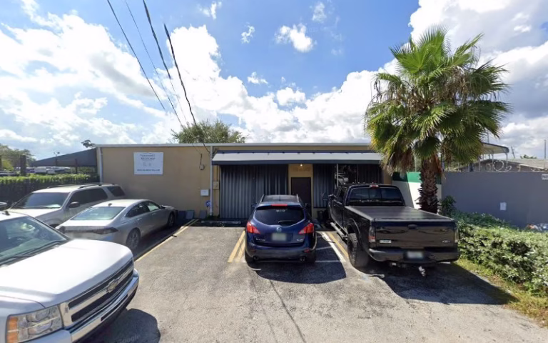 244671 palm roofing 768x480