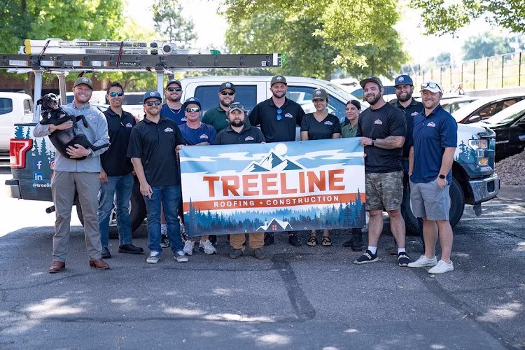 244825 treeline roofing construction 8211 twin cities