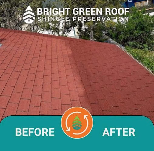 246398 bright green roof of ohio