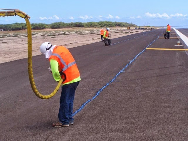 249667 seal pros hawaii