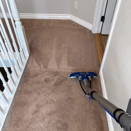 251503 pristine carpet cleaning and water damage restoration