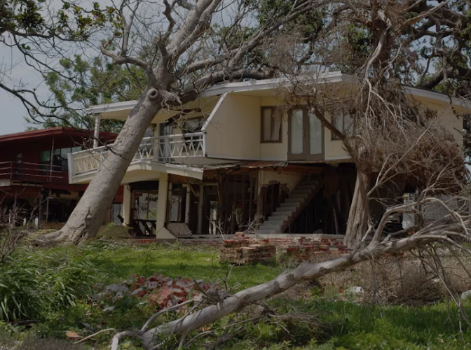 251539 formazin water damage