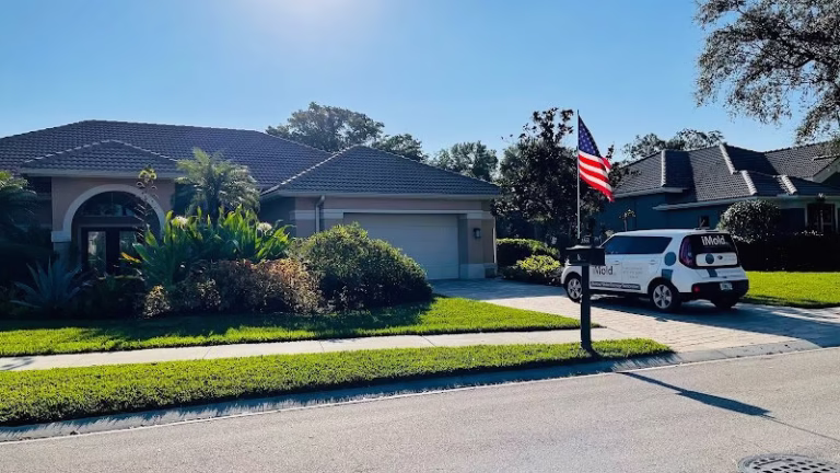 251562 imold cleaning and restoration 8211 water damage and mold removal specialists 768x432