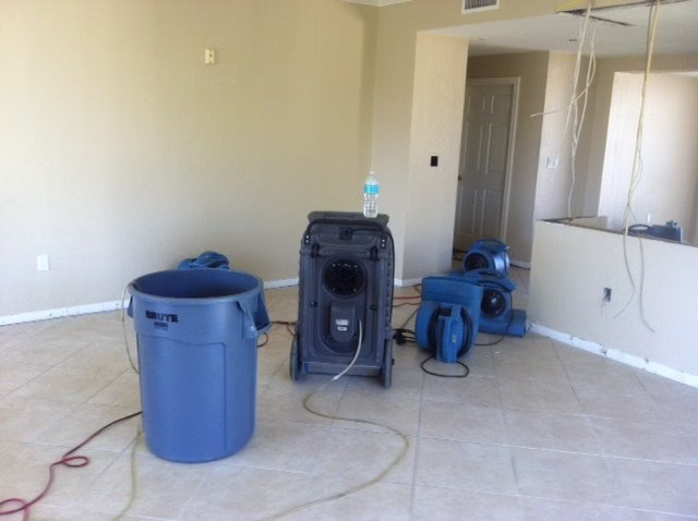 251636 mold be gone restoration