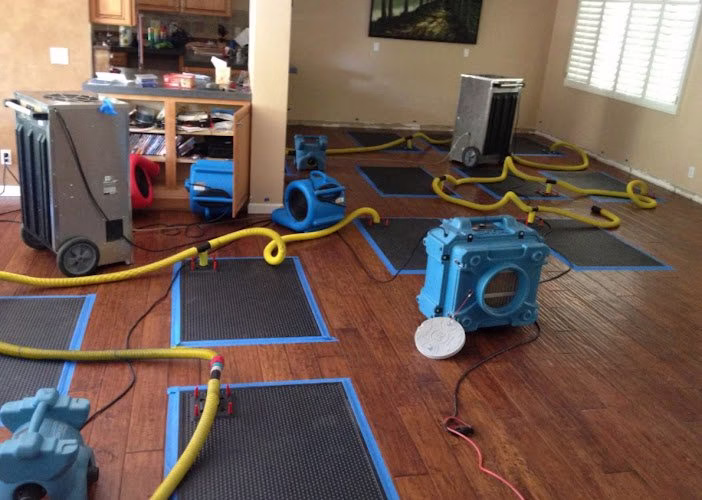 251705 nexus water damage restoration fort lauderdale