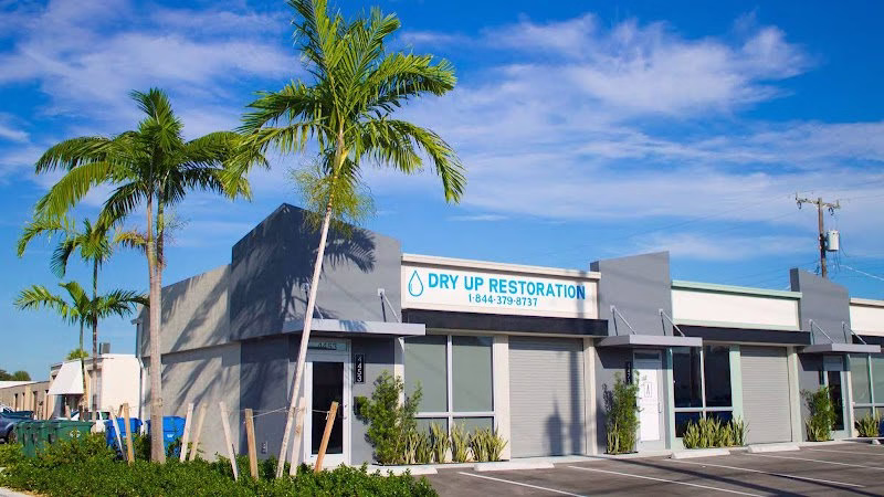 251733 dry up restoration