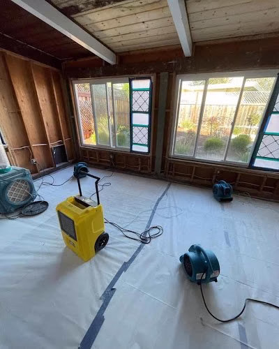 251931 construction abatement llc