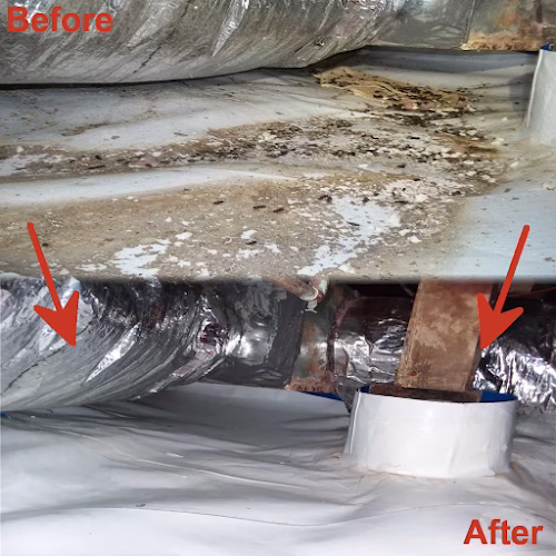 251943 certified specialists inc