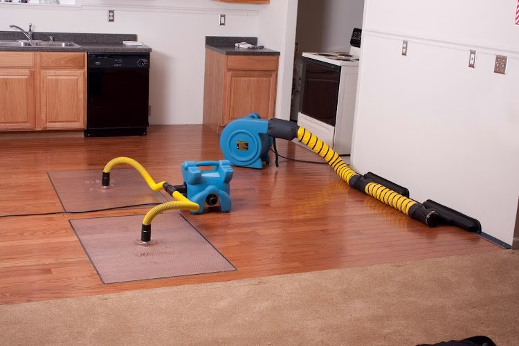 251993 drytime restoration