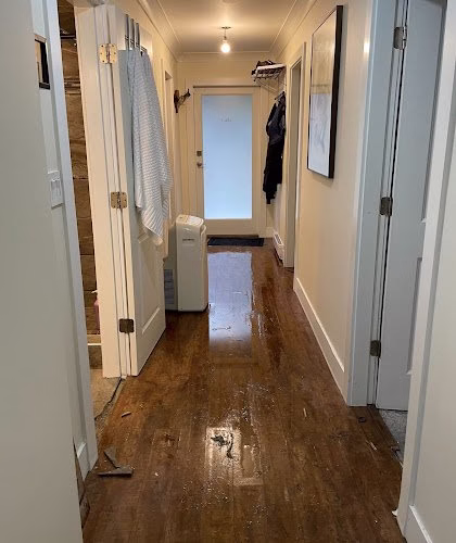 252098 pembroke pines mold removal experts