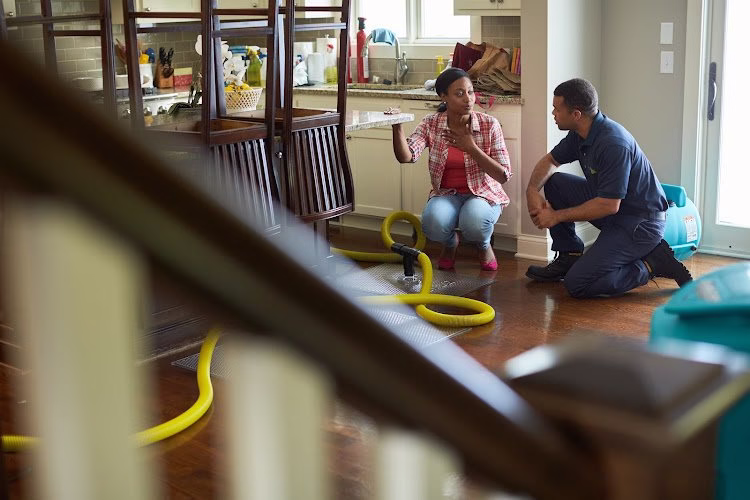 252135 servicemaster of eugene