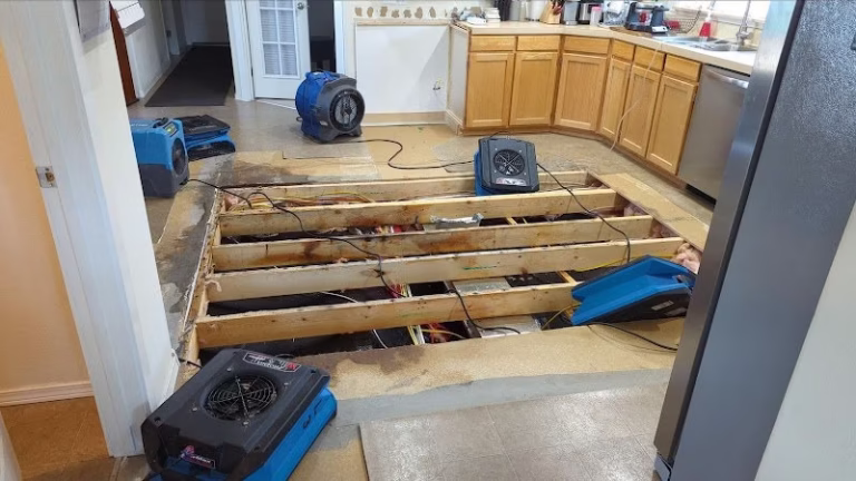 252146 dry pro llc 768x432