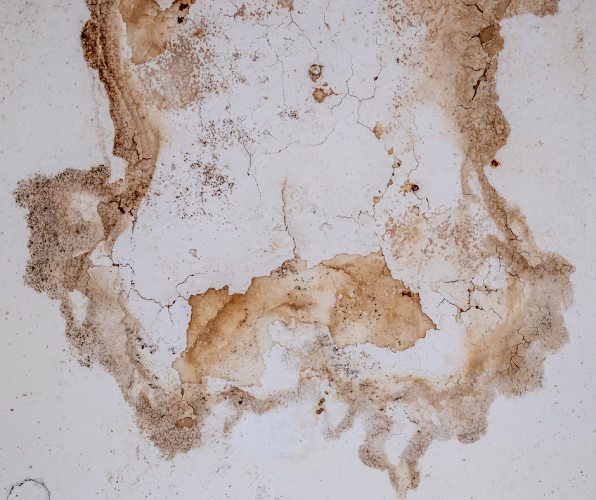 252162 dry on the spot restoration