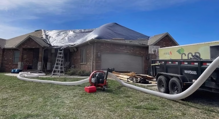 252218 clean green restoration 768x418