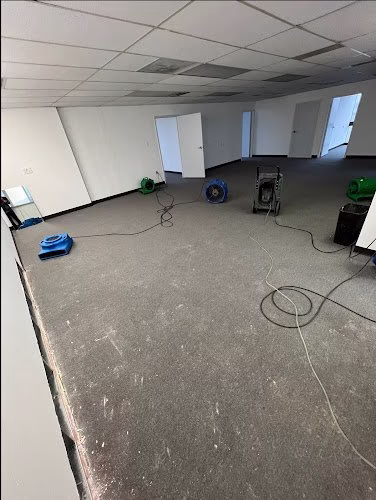 252301 flood masters llc