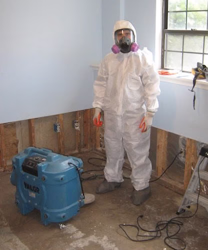 252329 valor mold removal