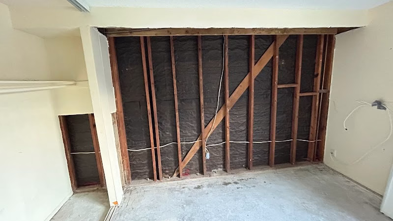 252405 ray lewis certified mold inspection