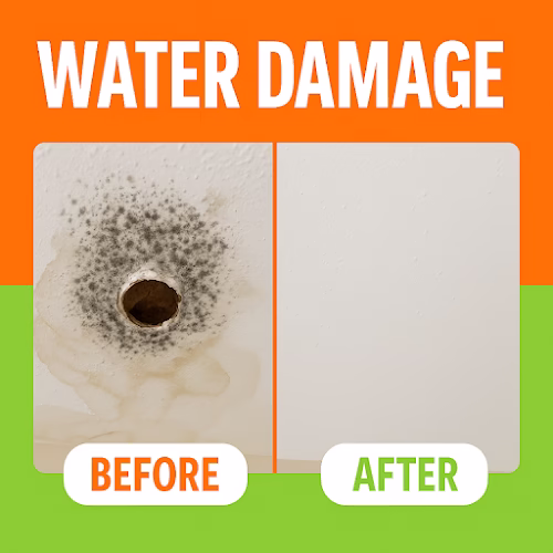 252671 bellevue water damage restoration pros