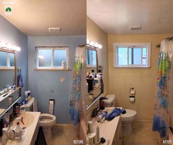 252878 bear home repair